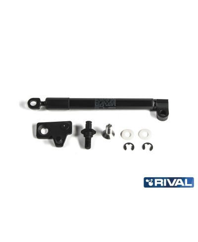 VERIN HAYON RIVAL ISUZU D-MAX 2012-  (bQ11)