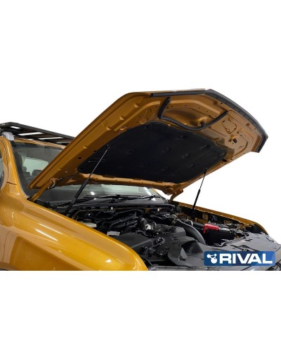 VERIN CAPOT RIVAL FORD RANGER/RAPTOR 2023-    (bQ11)
