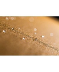 Tente de toit rigide Snug Himalaya aluminium nid d'abeille