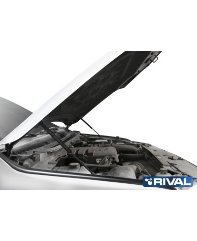 VERIN CAPOT RIVAL FORD RANGER 2011-    (bQ11)