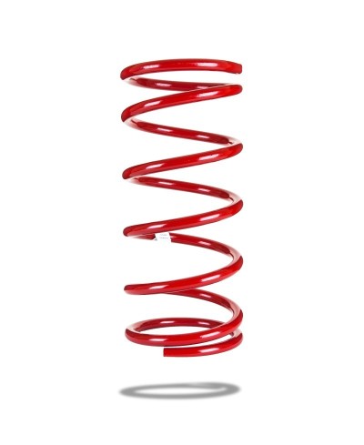 RESSORT AVANT PEDDERS HYUNDAI SANTA FE 2000-2006