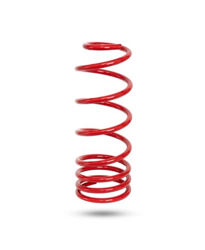 RESSORT ARRIERE PEDDERS HD TOYOTA LC250