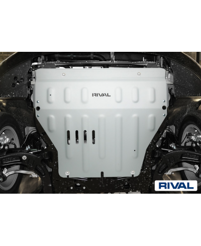 PLAQUE PROTECTION RIVAL MOTEUR+ BV  VW T6  (bP31)